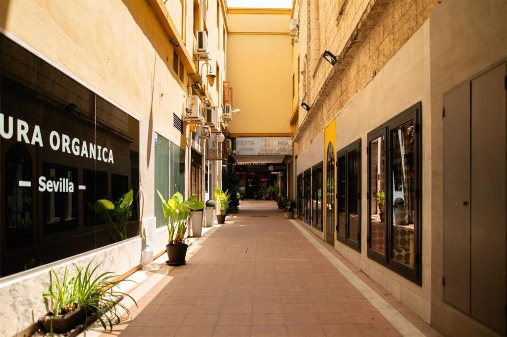 Sierpes By Linin Sevilla